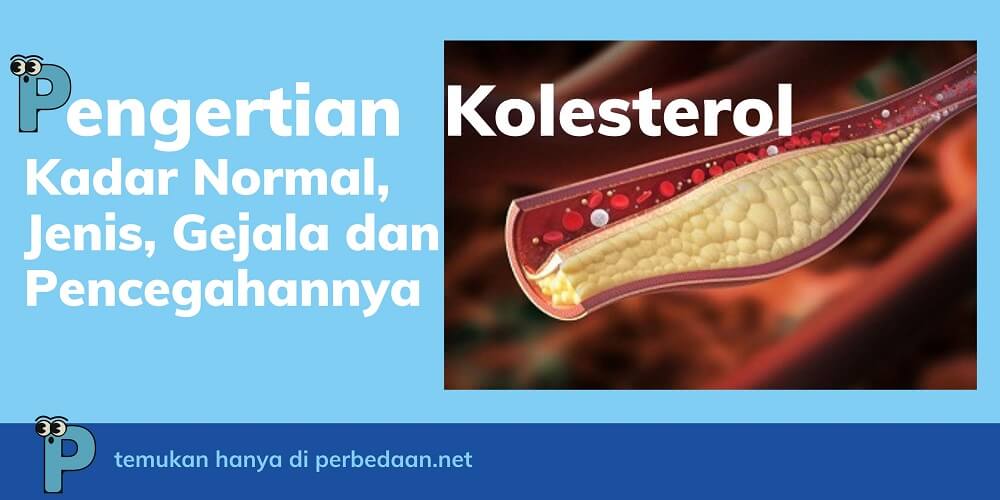 pengertian kolesterol jenis kadar normal gejala dan pencegahan