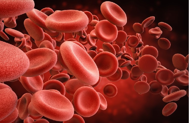cara menaikan trombosit dalam darah