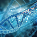 Perbedaan DNA dan RNA