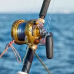 perbedaan memancing di laut dan di perairan tawar