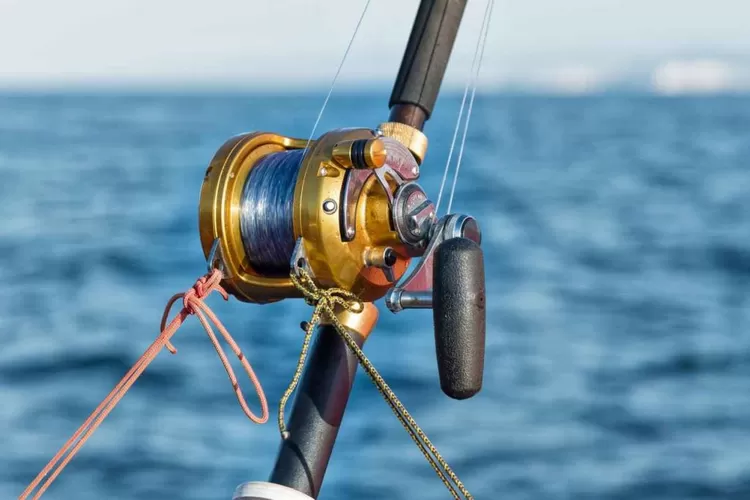perbedaan memancing di laut dan di perairan tawar