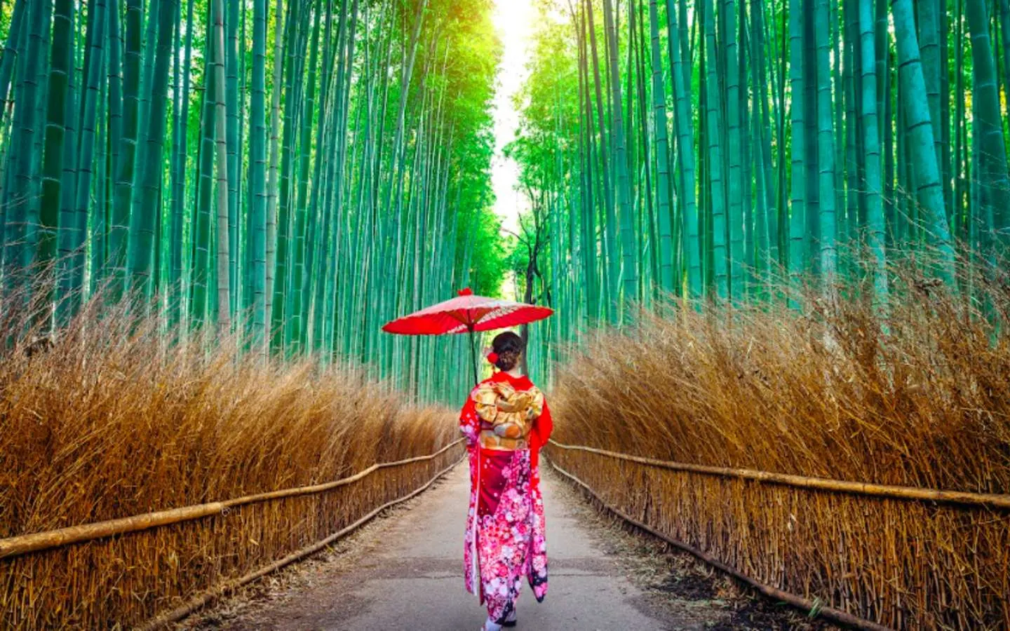 wisata jepang