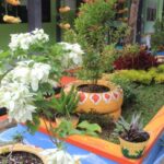 Pengertian Program Sekolah Adiwiyata dan Contoh RPP program sekolah adiwiyata